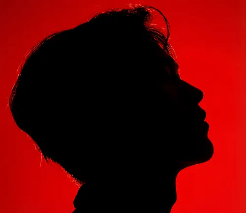 Crimson Silhouette cover art
